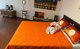 Historic Center Via Po Apartment
